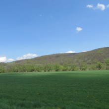 Field in foreground, Hills in background